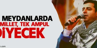 Demirtaş: Yine meydanlarda tek millet, tek ampul diyecek