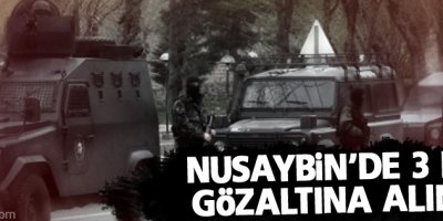 Nusaybin'de 3 gözaltı