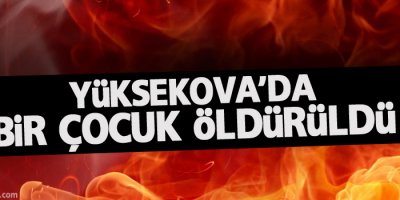 Yüksekova'da bir çocuk öldürüldü
