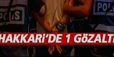 Hakkari'de bir kişi gözaltına alındı