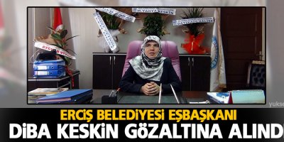 Erciş Belediyesi Eşbaşkanı Keskin gözaltına alındı