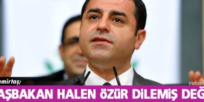 Demirtaş: Devlet pişkin pişkin sırıtıyor