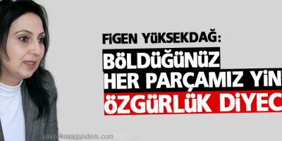 Yüksekdağ: Böldüğünüz her parçamız yine özgürlük diyecek