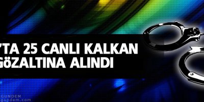 Muş'ta 25 canlı kalkan gözaltına alındı