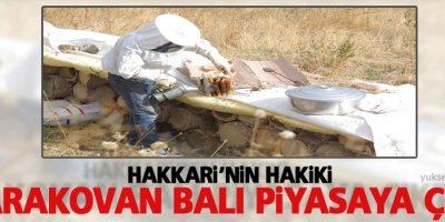 Hakkari'nin hakiki karakovan balı piyasaya çıktı