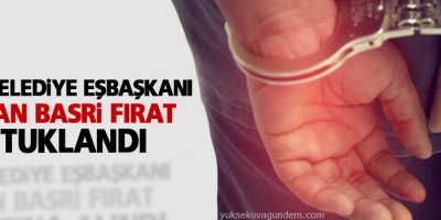 Hınıs Belediye Eşbaşkanı tutuklandı