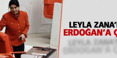 Leyla Zana'dan Erdoğan'a çağrı