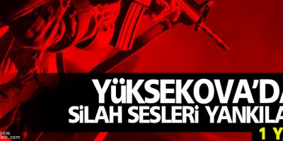 Yüksekova’da gece boyunca silah sesleri: 1 yaralı