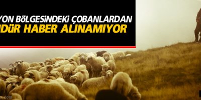 Yüksekova'da 4 çobandan 2 gündür haber alınamıyor