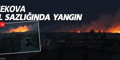 Yüksekova Nehil sazlığında yangın