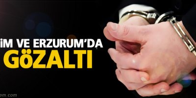 Dersim ve Erzurum'da 2 gözaltı