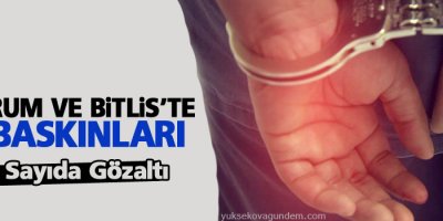 Erzurum ve Bitlis'te ev baskınları