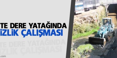 Bitlis'te dere yatağında temizlik çalışması