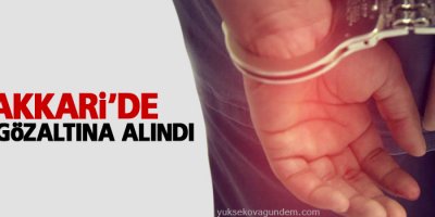 Hakkari’de 3 kişi gözaltına alındı