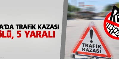 Fransa’da trafik kazası: 42 ölü
