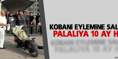 Kobani eylemine saldıran palalıya 10 ay hapis
