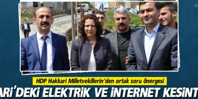 ' HDP Hakkari Milletvekillerin'den ortak soru önergesi'