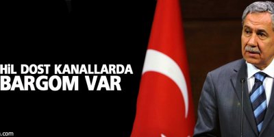 Arınç: TRT dahil dost kanallarda ambargom var
