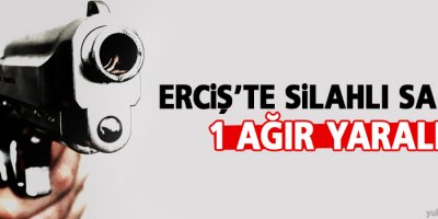 Erciş'te silahlı saldırı