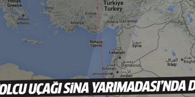 Yolcu uçağı Sina Yarımadası'nda düştü