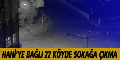 Lice ve Hani’ye bağlı 22 köyde sokağa çıkma yasağı