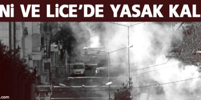 Hani ve Lice’de yasak kalktı
