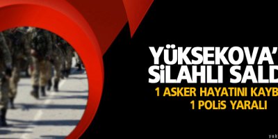 Yüksekova'da polise saldırı