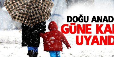 Doğu Anadolu güne karla uyandı