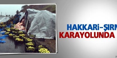 Hakkari-Şırnak Karayolunda Kaza