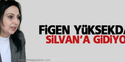 Yüksekdağ yarın Silvan'a gidiyor