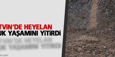 Artvin'de heyelan: 1 çocuk yaşamını yitirdi