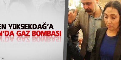 Figen Yüksekdağ'a Silvan'da gaz bombası