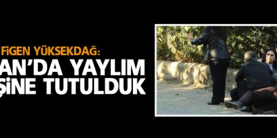 Yüksekdağ: Silvan’da yaylım ateşine tutulduk