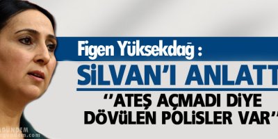Yüksekdağ, Silvan’ı anlattı