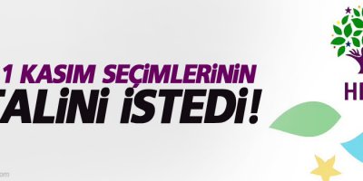 HDP 1 Kasım seçimlerinin iptalini istedi!