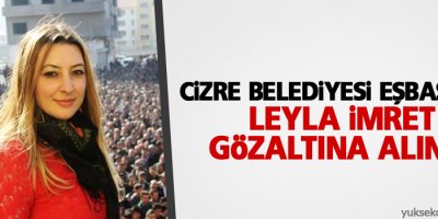 Cizre Belediyesi Eşbaşkanı Leyla İmret, gözaltına alındı