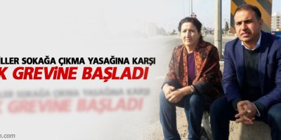 HDP’li vekiller sokağa çıkma yasağına karşı açlık grevine başladı