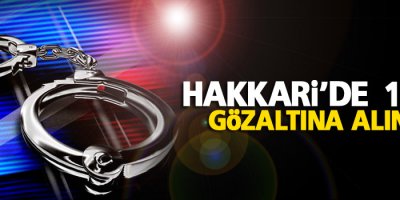 Hakkari'de bir kişi gözaltına alındı