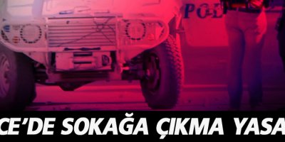 Lice'nin 9 mahallesinde sokağa çıkma yasağı