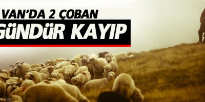 Van'da 2 çoban 5 gündür kayıp
