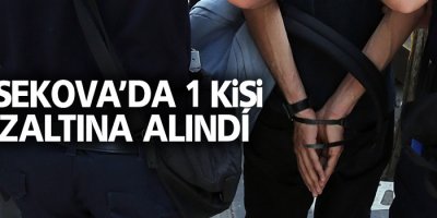 Yüksekova'da 1 kişi gözaltına alındı