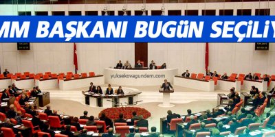 TBMM Başkanı bugün seçiliyor
