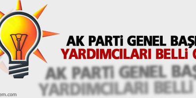 AK Parti Genel Başkan Yardımcıları belli oldu