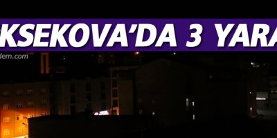 Yüksekova'da 3 kişi kurşunların hedefi oldu