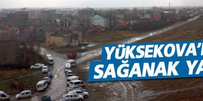 Yüksekova'da sağanak yağış