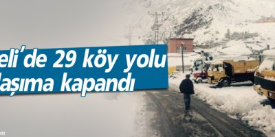 29 köy yolu ulaşıma kar nedeniyle kapandı