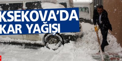 Yüksekova'ya yılın ilk karı düştü