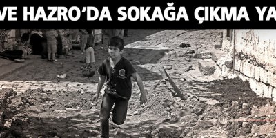 Lice ve Hazro'da sokağa çıkma yasağı