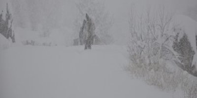 İl genelinde kapalı köy ve mezra yolu kalmadı