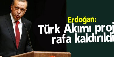 Erdoğan: Türk Akımı projesi rafa kaldırıldı